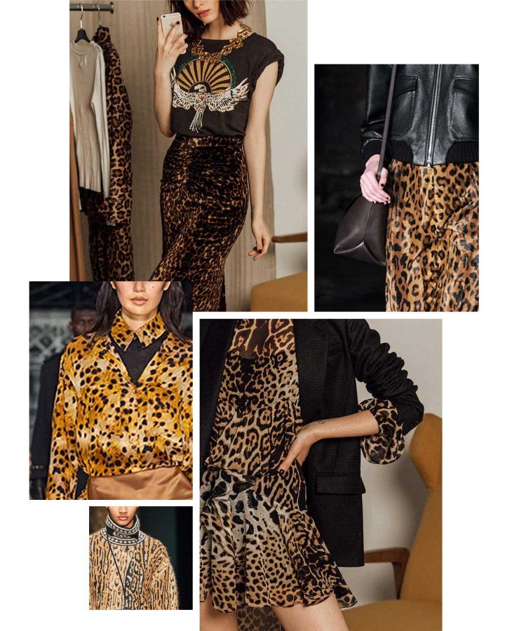 how to wear animal print this autumn